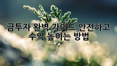 금투자 완벽 가이드: 안전하고 수익 높이는 방법
