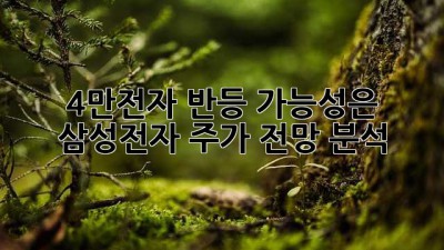 4만전자 반등 가능성은? 삼성전자 주가 전망 분석