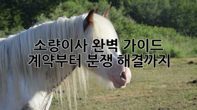 📦 소량이사 완벽 가이드: 계약부터 분쟁 해결까지! 🔑